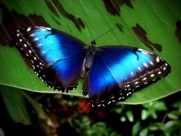 7 main-qimg-22dc1915c3bb35661649158fd215776e-c